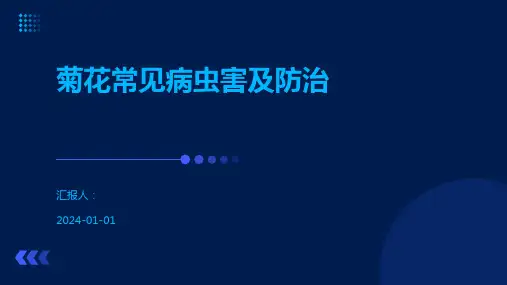 菊花常见病虫害及防治