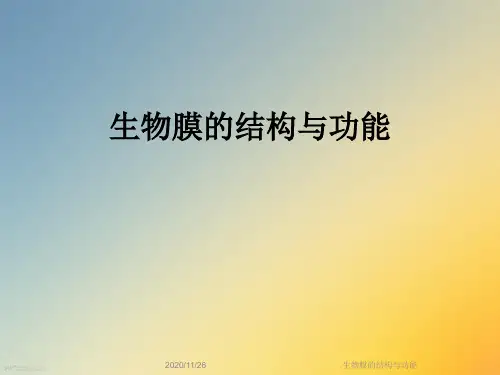生物膜的结构与功能