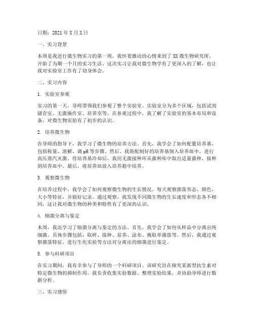 微生物实习报告周记