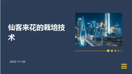 仙客来花的栽培技术