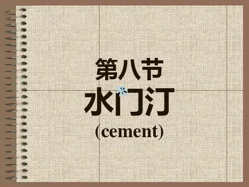 第8章水门汀