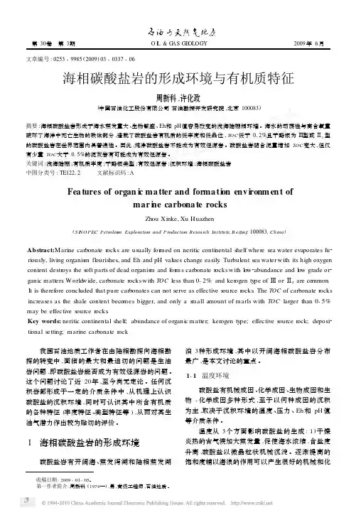 海相碳酸盐岩的形成环境与有机质特征