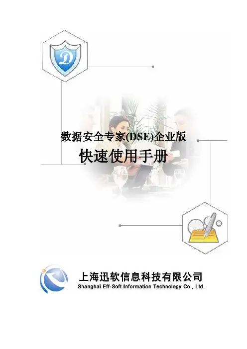 DSE快速使用手册