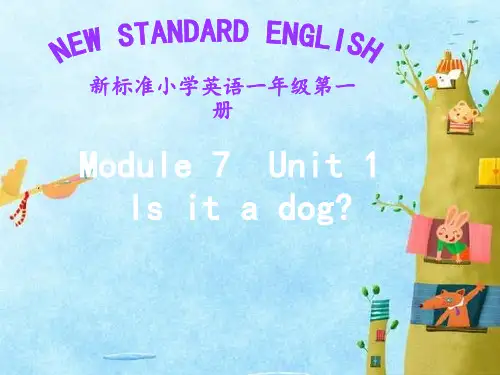 一年级英语上册 Module 7 Unit 1 Is it a dog2 外研版