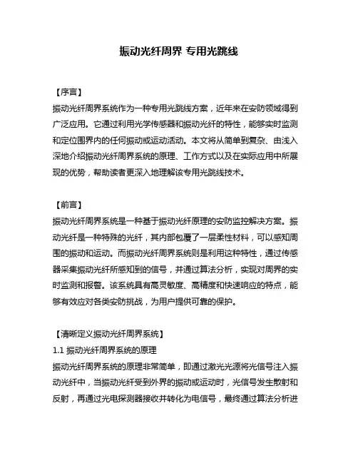 振动光纤周界 专用光跳线