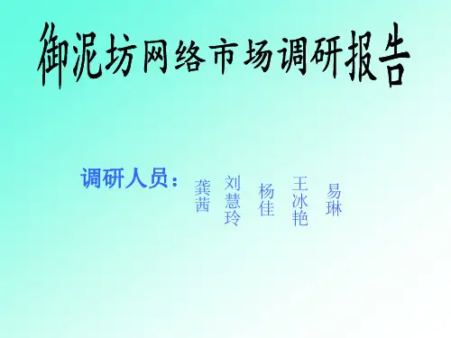 御泥坊网络市场调研报告
