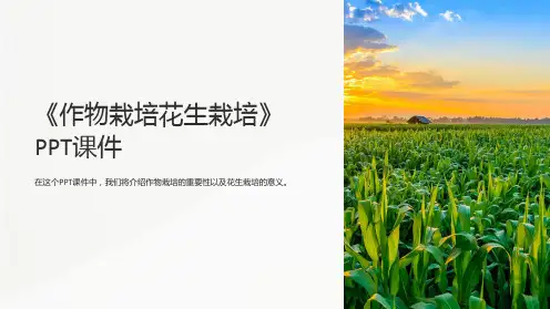 《作物栽培花生栽培》课件