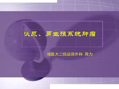 泌尿、男生殖系统肿瘤