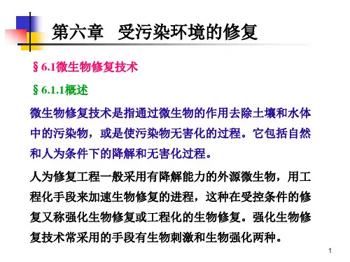 受污染环境的修复.pptx