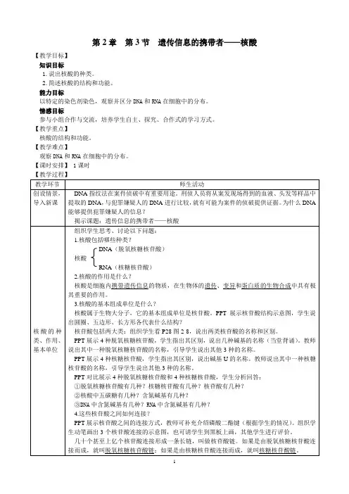 2-3 遗传信息的携带者—核酸 教案