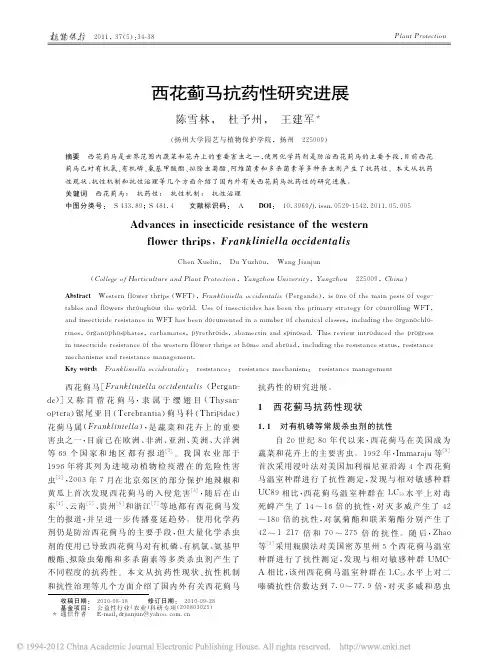 西花蓟马抗药性研究进展