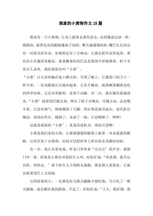 我家的小黄狗作文精选