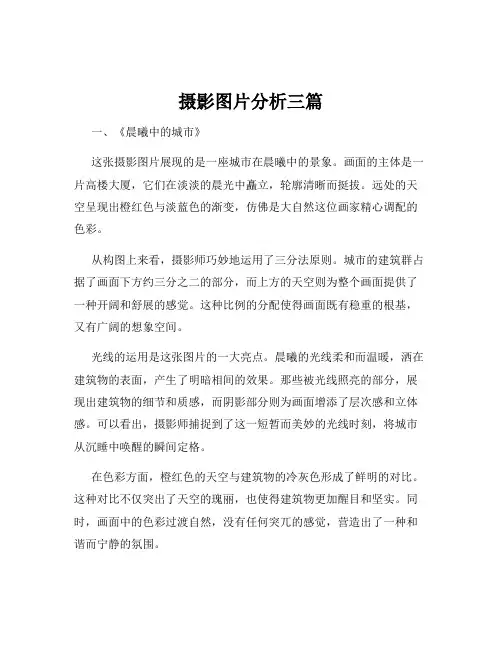 摄影图片分析三篇
