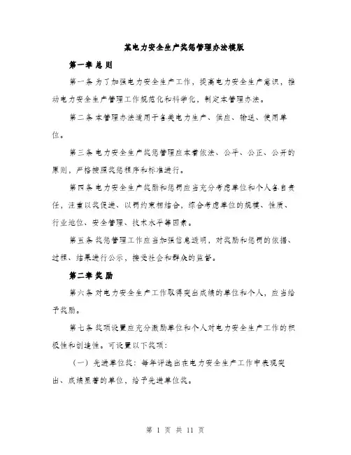 某电力安全生产奖惩管理办法模版（3篇）