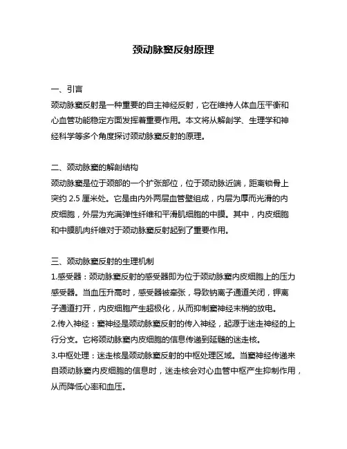 颈动脉窦反射原理