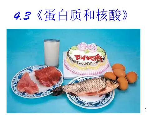 人教版选修5-《蛋白质和核酸》(完整版)