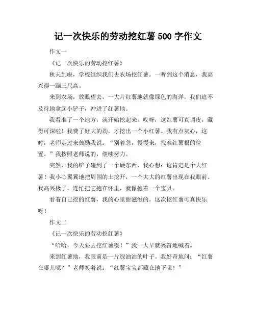 记一次快乐的劳动挖红薯500字作文