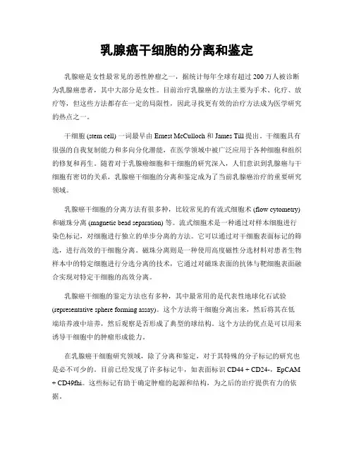 乳腺癌干细胞的分离和鉴定