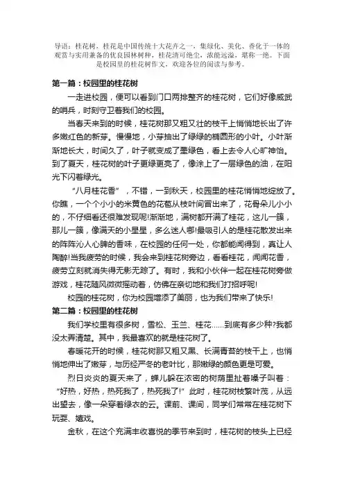 校园里的桂花树精选作文300字