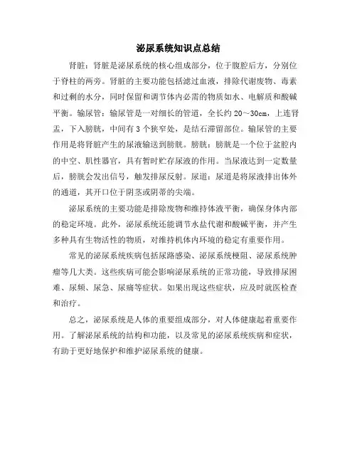泌尿系统知识点总结