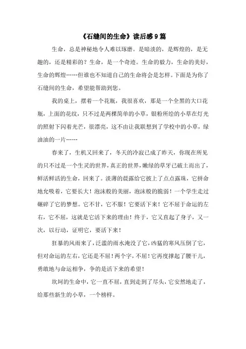 《石缝间的生命》读后感9篇