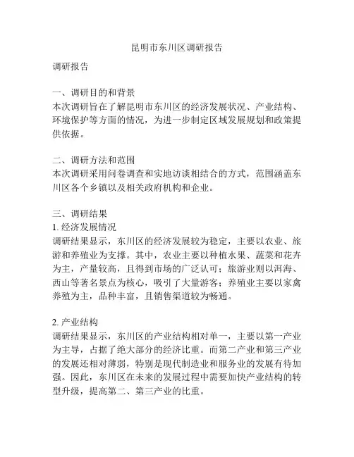 昆明市东川区调研报告