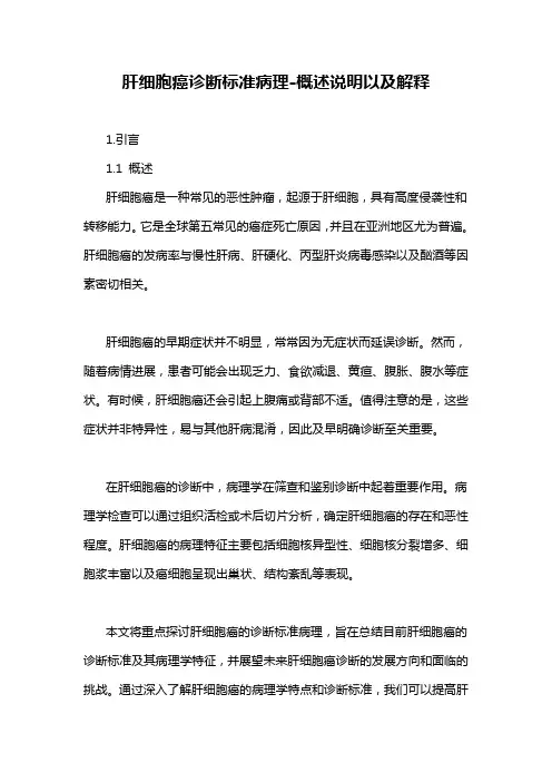 肝细胞癌诊断标准病理-概述说明以及解释