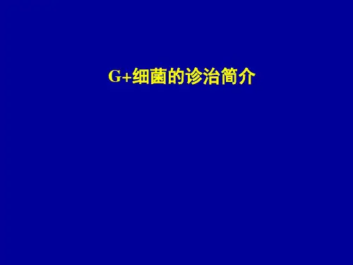 G+菌感染的诊治简介