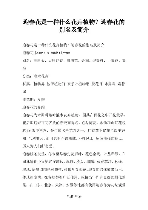 迎春花是一种什么花卉植物？迎春花的别名及简介