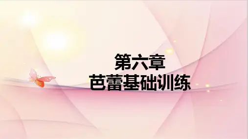06 芭蕾基础训练-6