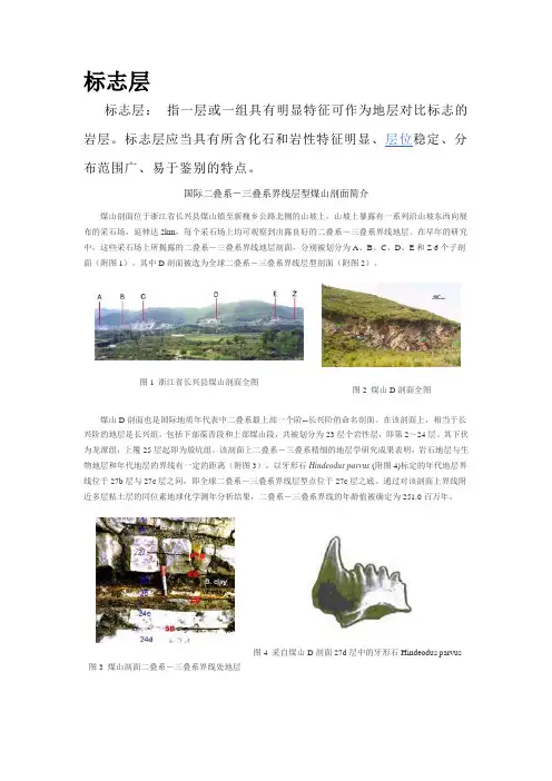 标志层