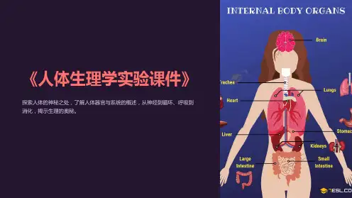 《人体生理学实验课件》