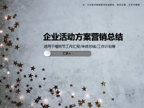 企业活动方案营销总结PPT模板