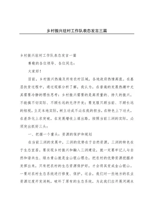 乡村振兴驻村工作队表态发言三篇