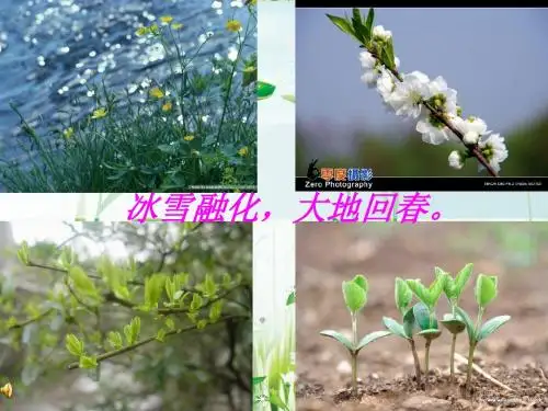 8、古诗《绝句》(迟日江山丽)、《春日》 讲课