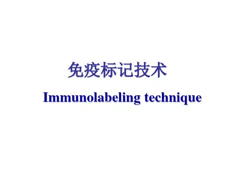 免疫标记技术课件
