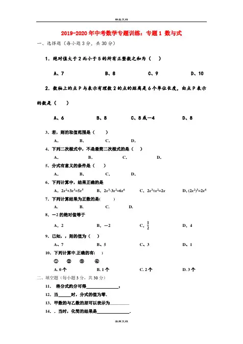 中考数学专题训练：专题1 数与式