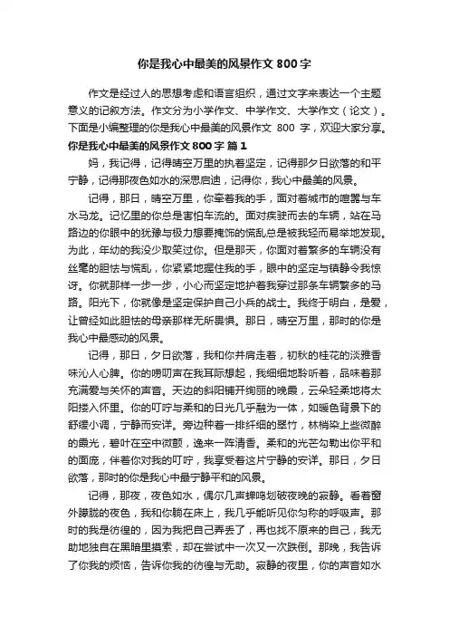 你是我心中最美的风景作文800字（通用31篇）