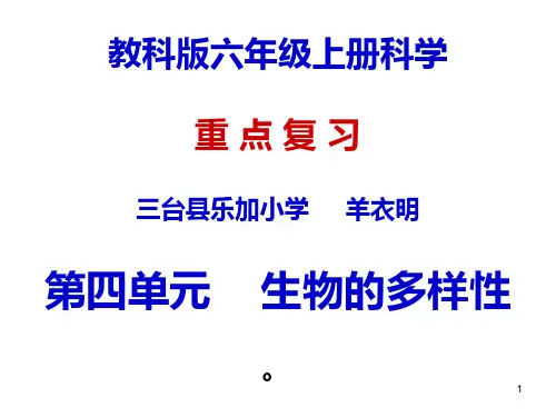 教科版六级上册科学四单元复习PPT课件