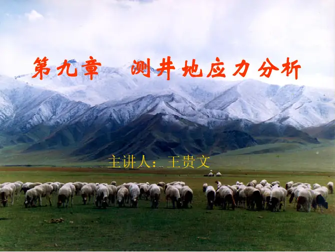 009第九章  测井地应力分析概论