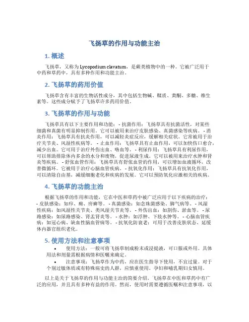 飞扬草的作用与功能主治