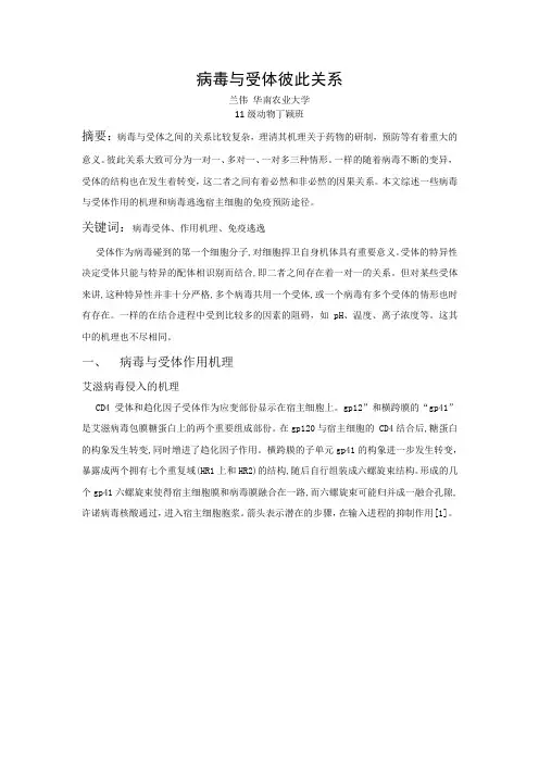 病毒与受体彼此关系