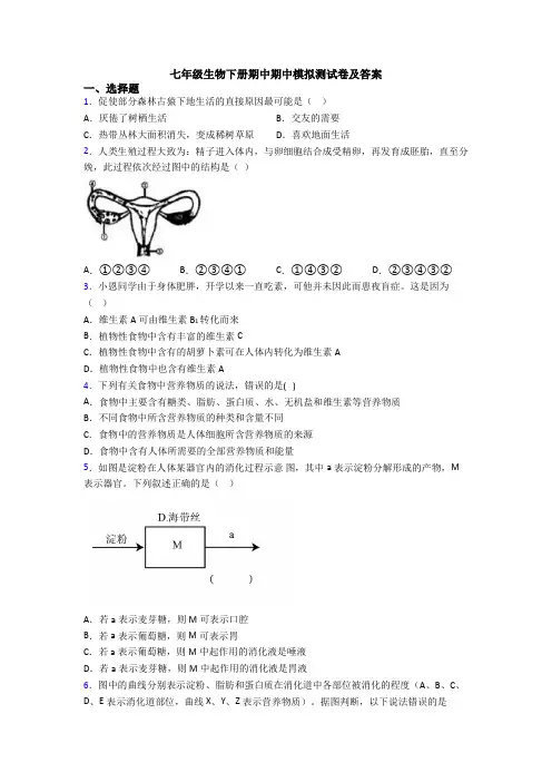 七年级生物下册期中期中模拟测试卷及答案
