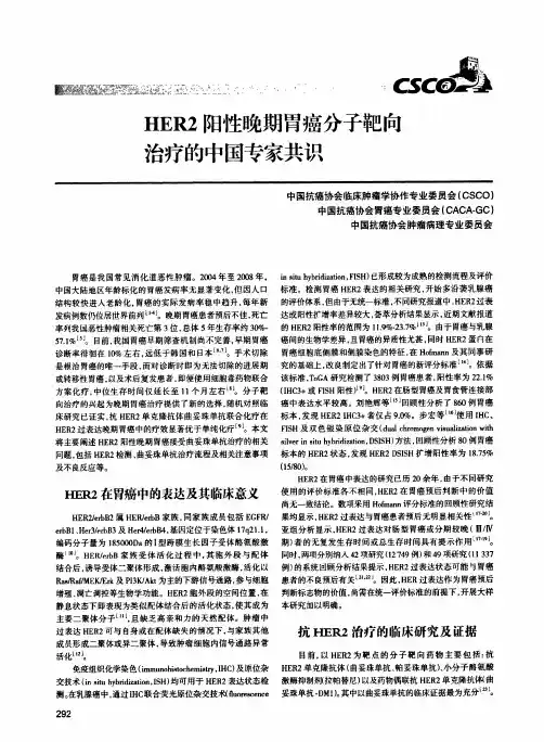 HER2阳性晚期胃癌分子靶向治疗的中国专家共识