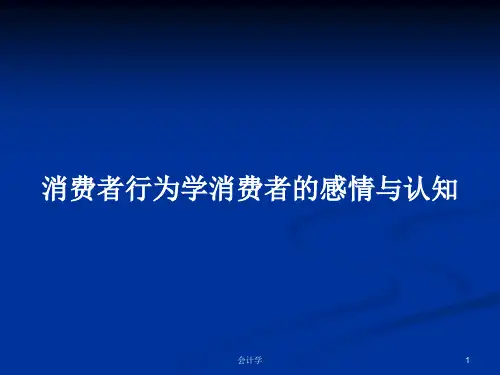 消费者行为学消费者的感情与认知PPT学习教案