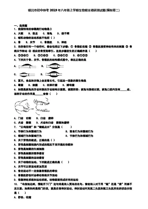 银川市初中统考2019年八年级上学期生物期末调研测试题(模拟卷二)