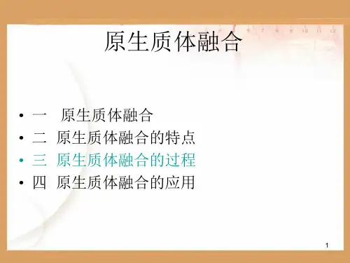 原生质体融合技术简介ppt课件