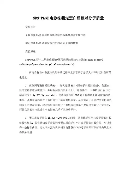 SDS-PAGE法测定蛋白质相对分子量