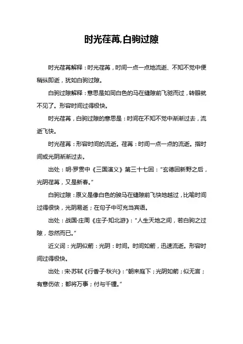 时光荏苒,白驹过隙