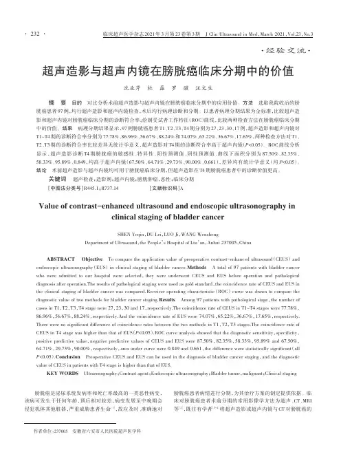 超声造影与超声内镜在膀胱癌临床分期中的价值